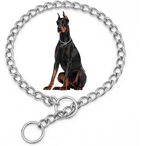 Silver Dog Choker Collar,SUS304 Stainless Steel Metal Slip Link Martingale Dog Collars Chain Training Heavy Duty Dogs Choke Collars Puppy Collars for XXS XS Small Medium Large Big Breed Pet,S