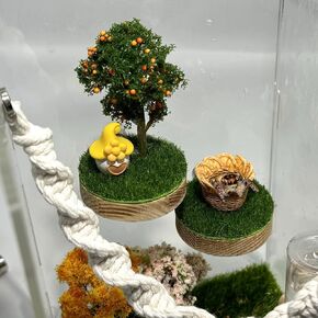 Jumping Spider Enclosure Accessories – Natural Wood Handmade Mini Forest Platforms with Magnetic Mounting for Climbing, Resting and Exploration -2