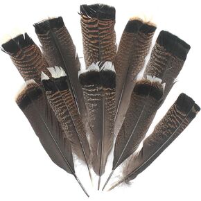 10Pcs Eagle Feathers Real for Crafting, 10-14" Long, Natural Featured Excellent Precious Tail Turkey Plume for Indian Headdress Costume Decoration DIY Jewelry Crafts Carnival Accessories