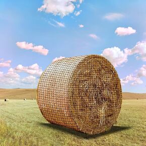 6x6 ft Heavy Duty Slow Feeding Horse Hay Net - 2-inch knotless Design Saves 60% hay, 800 lbs Weatherproof Round Bale Feeder for Cattle/Goats/Sheep (1.8 m×1.8 m)
