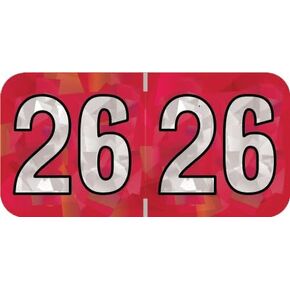 2025 Year Labels, Doctor Stuff 2025 Chart Stickers, Holographic Red Colored, USA Made Year Label for End Tab File Folders, 500 Labels per Roll, 1 Roll, 3/4" x 1-1/2"