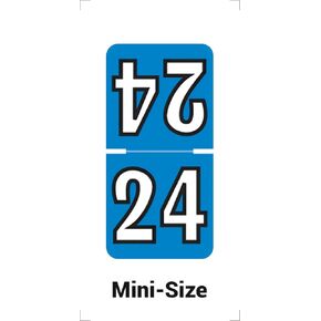 MINI 2025 Year Labels, Doctor Stuff 2025 Chart Stickers, Fuchsia Color Coded, Colwell Jewel Tone Style, USA Made Year Stickers for Top Tab File Folders, 250/Pack, 1 Package, 1/2" x 1" - Small Labels