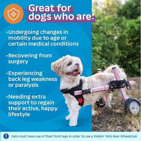 Walkin' Wheels Small Dog Wheelchair, Lightweight Dog Wheelchair for Back Legs, 15-25 lbs, for 6-8 inches Leg Height - Blue in Kuwait