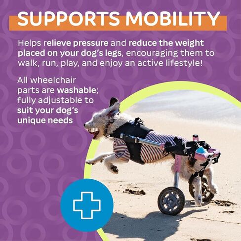 Walkin' Wheels Small Dog Wheelchair, Lightweight Dog Wheelchair for Back Legs, 15-25 lbs, for 6-8 inches Leg Height - Blue in Kuwait