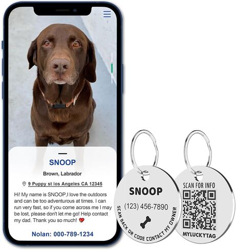 MYLUCKYTAG Personalized Pet ID Tags Dog Tags - Stainless Steel QR Code ID Tags - Pet Online Profile - Send Pet Location Alert Email When Scanning in Kuwait