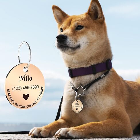 MYLUCKYTAG Personalized Pet ID Tags Dog Tags - Stainless Steel QR Code ID Tags - Pet Online Profile - Send Pet Location Alert Email When Scanning in Kuwait