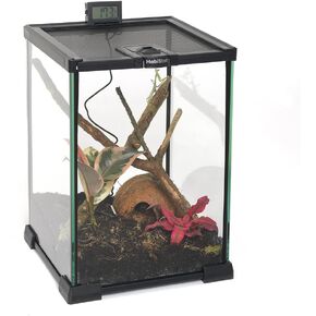 Glass Terrarium (12"x12"x18")