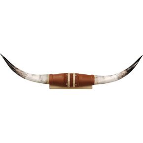 Shawnee Trading Post Unisex Trading Authentic Medium Steer Horns Tan One Size