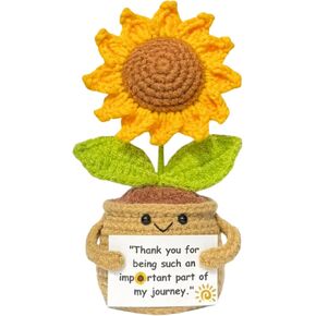 Emotional Support Crochet Flower in Rainbow Colors with Encouragement Card – Handmade Plush Decoration Gift for Desk, Office, Home – Thoughtful Gift for Women, Friends, Coworkers