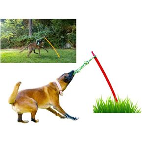 Outdoor Tug of War Toy for Dogs Rope Toy – Interactive Exercise Game in Yard, Agility, Medium, Large Extra Large & Small Breed –– Dogs Training Tools & Exercise Equipment, Belgian Malinois
