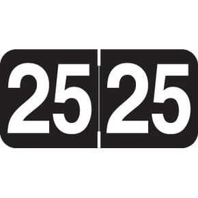 2025 Year Stickers, Doctor Stuff 2025 Chart Stickers, Black Color Coded, Ames/TAB Style, USA Made Year Labels for End Tab File Folders, 500/Roll, 1 Roll, 3/4" x 1-1/2"