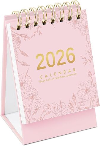 Mini Desk Calendar, 2025-2026 Small Desk Calendar, June 2025 to December 2026, 19 Monthly, Mini Standing Flip Calendar, Thick Paper Twin-Wire Binding, Desktop Calendar for Office or Home (Pink) in Saudi Arabia