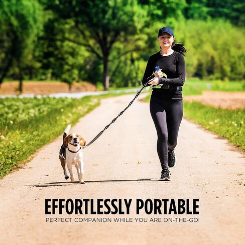GUARD DOG SECURITY Air Horn for Dogs - Powerful Air Horn for dog training & behavior aids - Stops Barking, Jumping, Fighting, Chasing & More – Works as coyote deterrent in Saudi Arabia