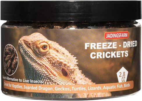 Freeze Dried Crickets – 2.8 Oz High Protein Freeze Dried Crickets, Food for Reptiles, Bearded Dragons, Lizards, Geckos, Birds, Fish,Hedgehogs, Bearded Dragon Food in Kuwait