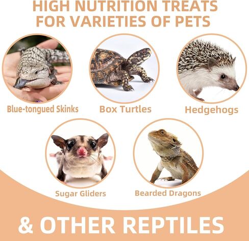 Freeze Dried Crickets – 2.8 Oz High Protein Freeze Dried Crickets, Food for Reptiles, Bearded Dragons, Lizards, Geckos, Birds, Fish,Hedgehogs, Bearded Dragon Food in Kuwait