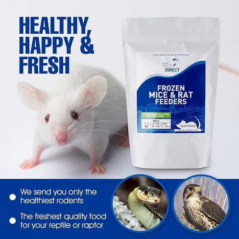 MiceDirect Frozen Rat Pups Feeder Food Adult Corn Snakes Juvenile Adult Ball Pythons Monitor Lizard (2.5-3.5 in (Pack of 125)) in Saudi Arabia