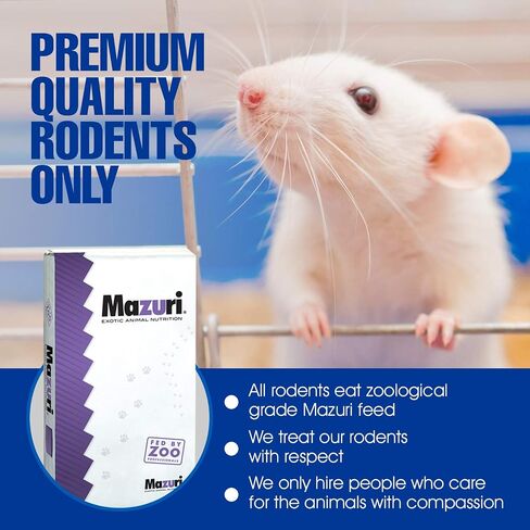 MiceDirect Frozen Rat Pups Feeder Food Adult Corn Snakes Juvenile Adult Ball Pythons Monitor Lizard (2.5-3.5 in (Pack of 125)) in Saudi Arabia