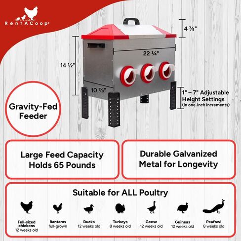 RentACoop Flock Feeder 65 lb - Large Capacity, Weatherproof Metal 6-Port Feeder for Adult Chickens, Turkeys, Ducks, and More in Saudi Arabia