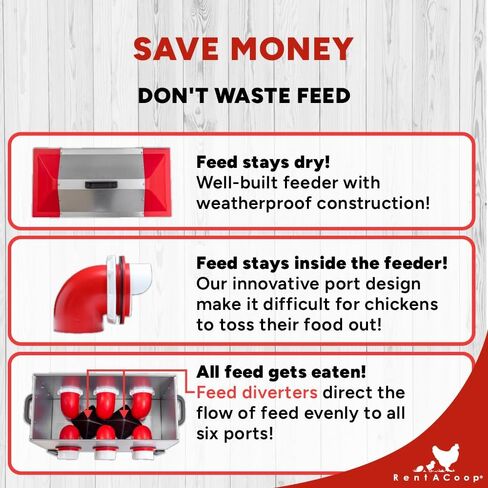 RentACoop Flock Feeder 65 lb - Large Capacity, Weatherproof Metal 6-Port Feeder for Adult Chickens, Turkeys, Ducks, and More in Saudi Arabia