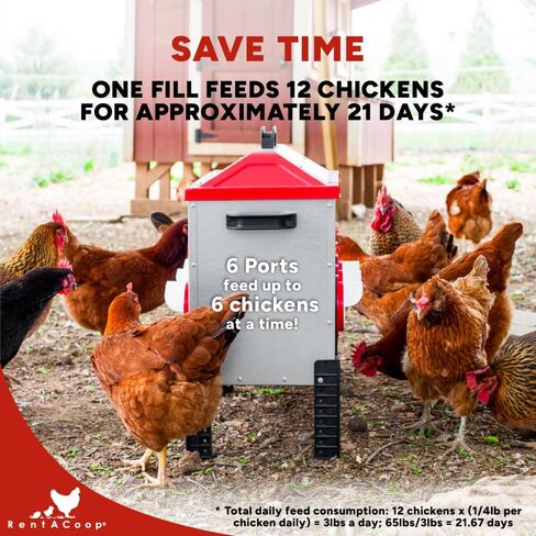 RentACoop Flock Feeder 65 lb - Large Capacity, Weatherproof Metal 6-Port Feeder for Adult Chickens, Turkeys, Ducks, and More in Saudi Arabia
