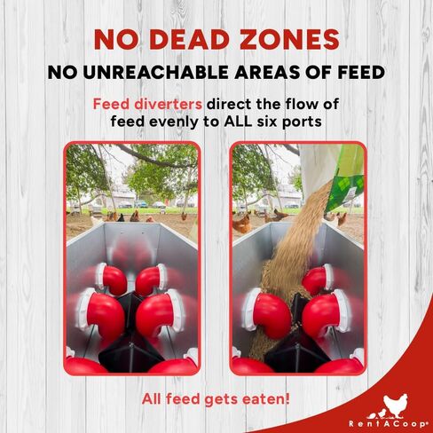RentACoop Flock Feeder 65 lb - Large Capacity, Weatherproof Metal 6-Port Feeder for Adult Chickens, Turkeys, Ducks, and More in Saudi Arabia