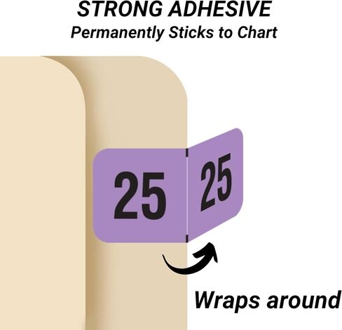2025 Year Labels, Doctor Stuff 2025 Chart Stickers, Fluorescent Violet Color Coded, USA Made Year Stickers for End Tab File Folders, 500 Labels/Roll in a Dispenser Box, 3/4" x 1-1/2" in Kuwait