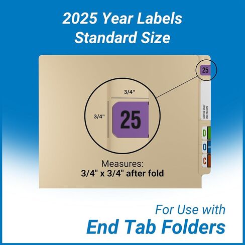 2025 Year Labels, Doctor Stuff 2025 Chart Stickers, Fluorescent Violet Color Coded, USA Made Year Stickers for End Tab File Folders, 500 Labels/Roll in a Dispenser Box, 3/4" x 1-1/2" in Kuwait