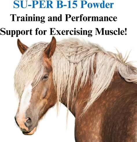 B-15 Vitamin Supplement for Horses - Equine Vitamin B-15 Powder for Performance Support - 12.5 Pounds, 6 Month Supply in Saudi Arabia