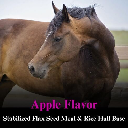 B-15 Vitamin Supplement for Horses - Equine Vitamin B-15 Powder for Performance Support - 12.5 Pounds, 6 Month Supply in Saudi Arabia