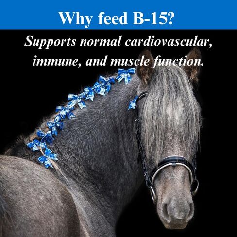 B-15 Vitamin Supplement for Horses - Equine Vitamin B-15 Powder for Performance Support - 12.5 Pounds, 6 Month Supply in Saudi Arabia