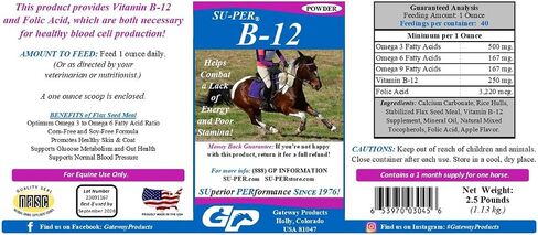 B-12 Energy Horse Supplement - Equine Vitamins B-12 & B-9 Folic Acid Support Powder - 2.5 Pounds, (2 Pack) in Saudi Arabia