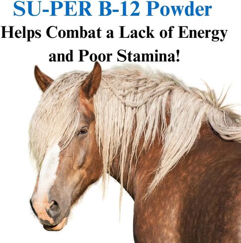 B-12 Energy Horse Supplement - Equine Vitamins B-12 & B-9 Folic Acid Support Powder - 2.5 Pounds, (2 Pack) in Saudi Arabia