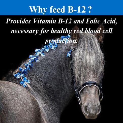 B-12 Energy Horse Supplement - Equine Vitamins B-12 & B-9 Folic Acid Support Powder - 2.5 Pounds, (2 Pack) in Saudi Arabia