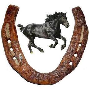 Original Black Horse Shoe/Kale Ghode ki naal, Metal Horse Shoe Kale Gode Ki Naal (12 cm x 2 cm x 12 cm, Black) as#01