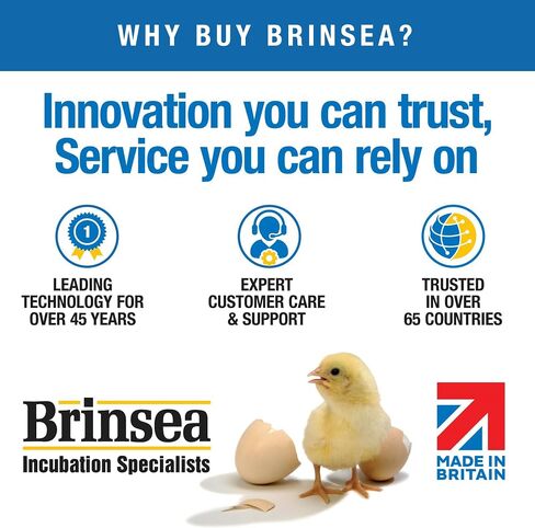 Brinsea Products Mini II Egg Incubators Hatching Mats, One Size in Saudi Arabia