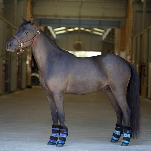 Kensington KPP Miniature Horse Fly Boots - Fly Pony Horse Boots Perfect for Equine Leg Wraps and Maximum Horse Fly Protection in Kuwait