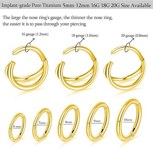 2Pcs Titanium Nose Rings 18G 8mm Double Hoop Nose Rings 18 Gauge Septum Clicker Nose Rings for Women Men Hinged Small Hoop Earring Cartilage Helix Daith Rook Hoop Piercing Jewelry in Saudi Arabia