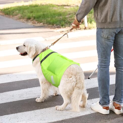 Aliceset 2 Pcs Dog Cooling Vest with 4 Recyclable Ice Pack Summer Outdoor Dog Cooling Harness Pet Adjustable Jacket Cooler(Extra Large) in Saudi Arabia