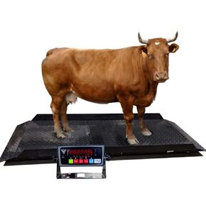 PEC Tools Heavy Livestock Scale with Digital Indicator, Veterinary Floor Scale for Weighing Cattle, Tracking Weight and Health of Large Sized Farm Animals, 4,000 LB Capacity, 84" x 30" Platform