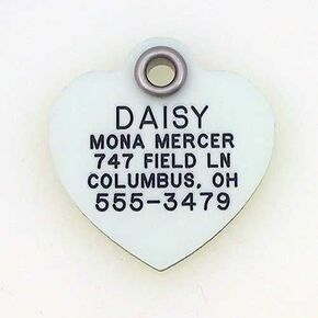 LuckyPet Glow in The Dark Dog ID Tag - Durable Custom Tags for Pets - Silent Personalized Pet Identification - Easy to Read Engraving - Medium, Bone