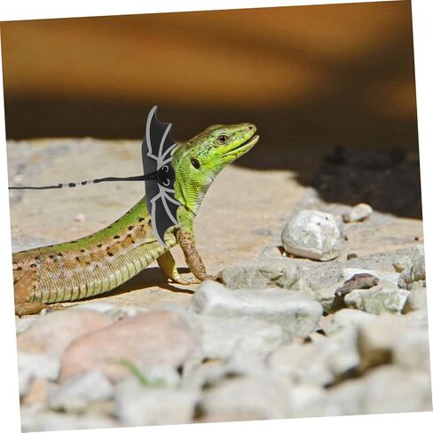 Totority 1 Set Halloween Lizard Leash Outdoor Reptile Harness for Lizards Geckos with Cool Wings Design for Pets Adventures in Saudi Arabia