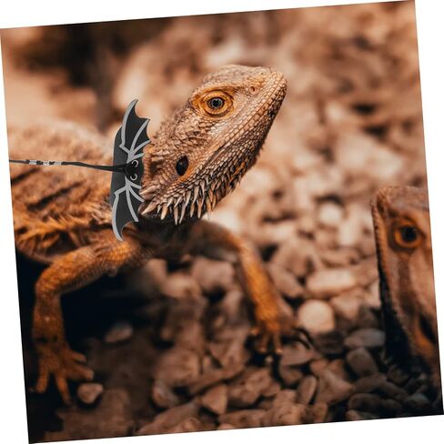 Totority 1 Set Halloween Lizard Leash Outdoor Reptile Harness for Lizards Geckos with Cool Wings Design for Pets Adventures in Saudi Arabia
