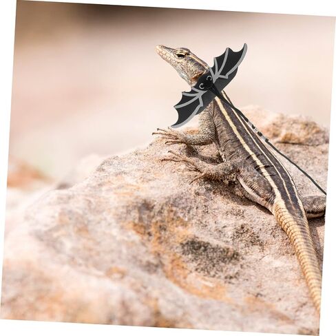 Totority 1 Set Halloween Lizard Leash Outdoor Reptile Harness for Lizards Geckos with Cool Wings Design for Pets Adventures in Saudi Arabia
