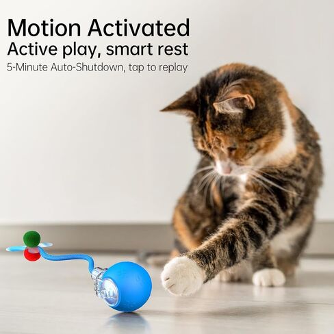 لعبة Cat Ball التفاعلية - 2025 لعبة Smart Rolling Cat مع ذيل لامع ، وإغاثة الملل المنشط للحركة للقطط الداخلية ، وتجنب شحن USB وتجنب العقبات in Kuwait