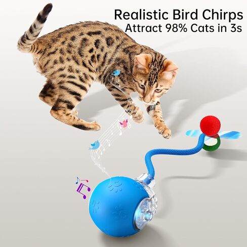 لعبة Cat Ball التفاعلية - 2025 لعبة Smart Rolling Cat مع ذيل لامع ، وإغاثة الملل المنشط للحركة للقطط الداخلية ، وتجنب شحن USB وتجنب العقبات in Kuwait