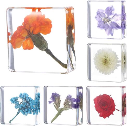 6Pcs Pressed Flower Paper Weights, Real Flower Resin Crafts, Pattern Weights, Paper Weights Decorative,Pressed Flower Ornament,Paper Weights for Office Desk,Specimen Collection for Science Educational in Kuwait