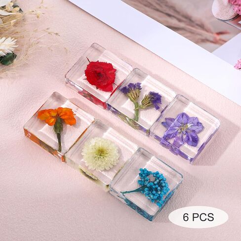 6Pcs Pressed Flower Paper Weights, Real Flower Resin Crafts, Pattern Weights, Paper Weights Decorative,Pressed Flower Ornament,Paper Weights for Office Desk,Specimen Collection for Science Educational in Kuwait