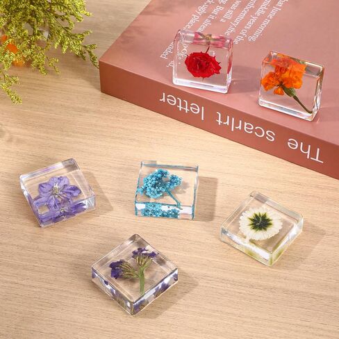 6Pcs Pressed Flower Paper Weights, Real Flower Resin Crafts, Pattern Weights, Paper Weights Decorative,Pressed Flower Ornament,Paper Weights for Office Desk,Specimen Collection for Science Educational in Kuwait