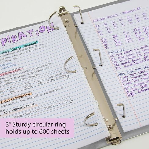 BAZIC 3 RING BINDER 3 "عرض المجلدات المائلة D Ring Organizer - Green ، عقد 600 ورقة ، لمكتب المدرسة ، 1 -Count in Saudi Arabia