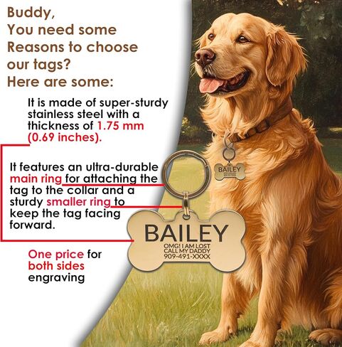 Stainless Steel Dog Tags Personalized, Pet Tag Personalized, Cat Tag Personalized, Pet ID Tags, Engraved on Both Sides, Bone, Heart and Round-Shaped (Heart, Small) in Saudi Arabia